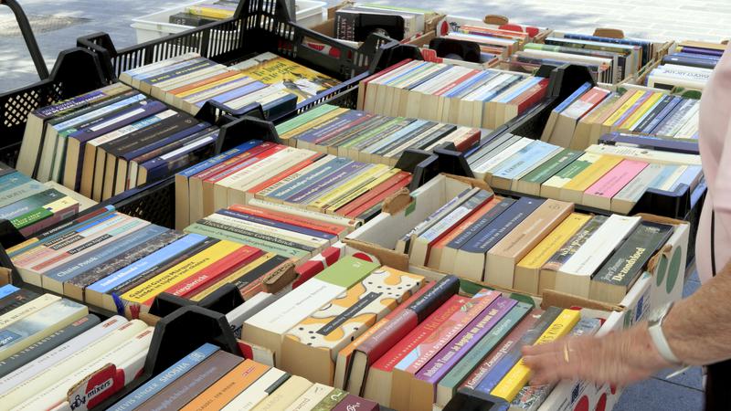 The Ultimate Reading Paradise: Books for Sale Bonanza