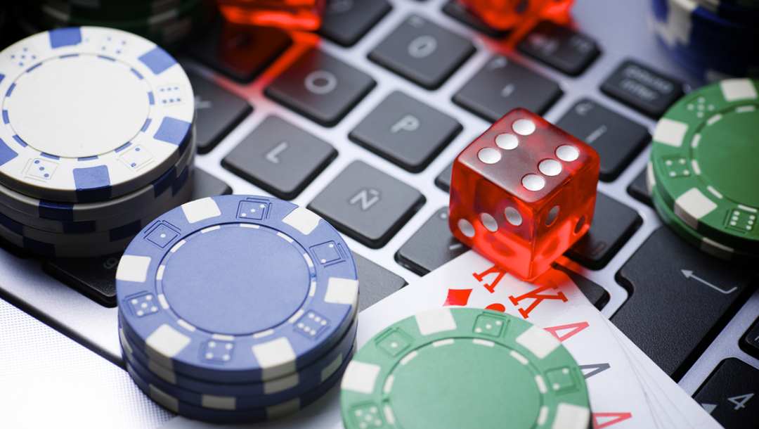 Exploring the Fascinating World of Online Gambling Enthusiasts